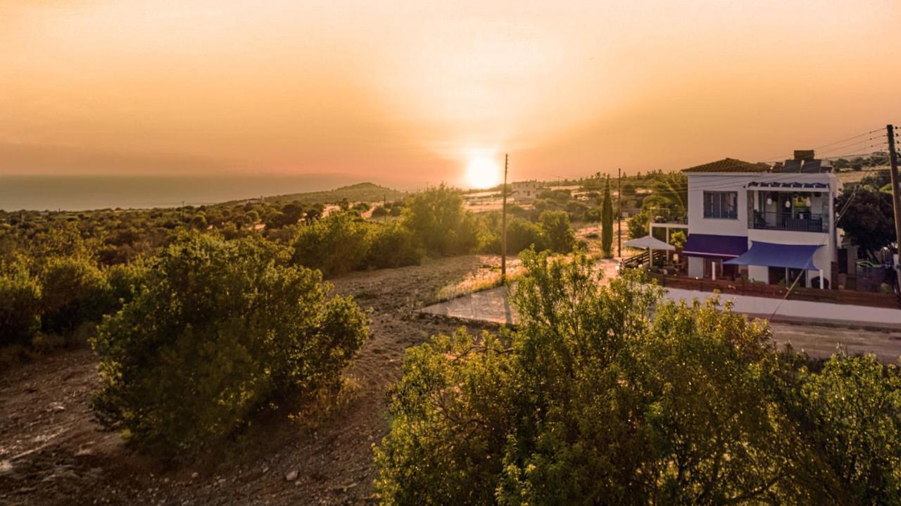 Villanelle Bed & Breakfast Welcomes Dog Lovers Only Тала Экстерьер фото